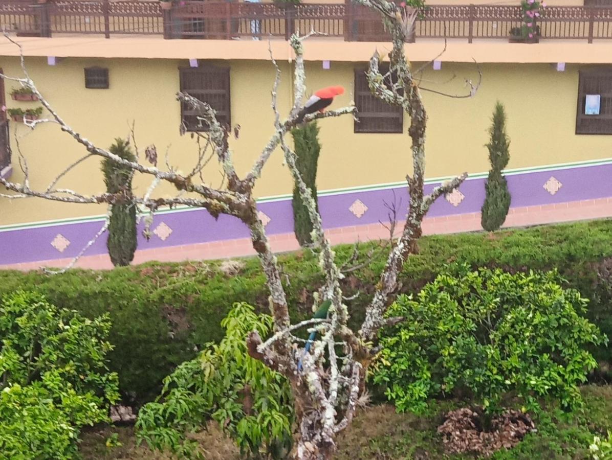 Bird House - Apartament Jardin Bagian luar foto
