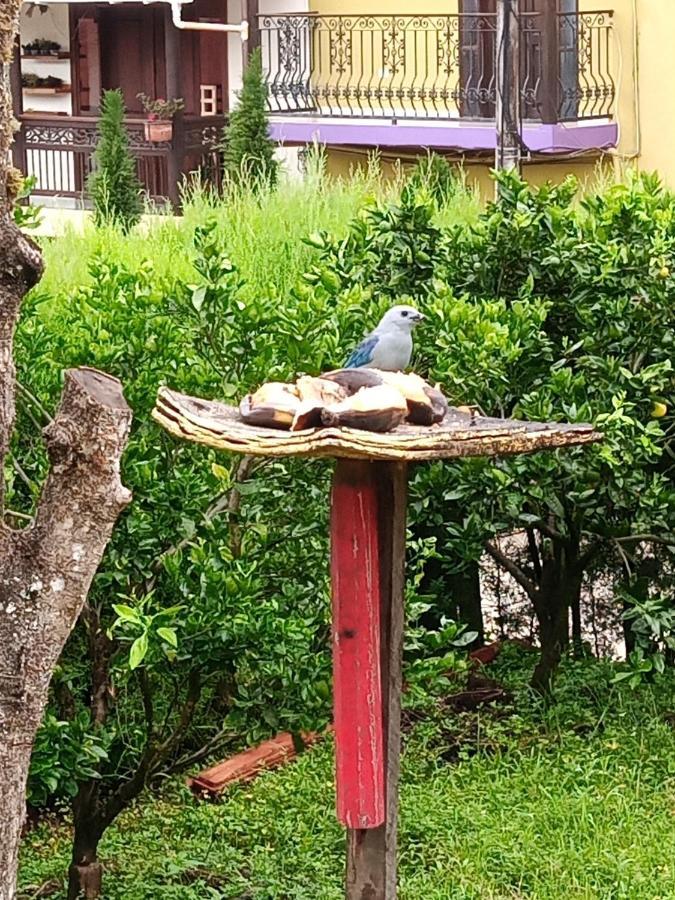Bird House - Apartament Jardin Bagian luar foto