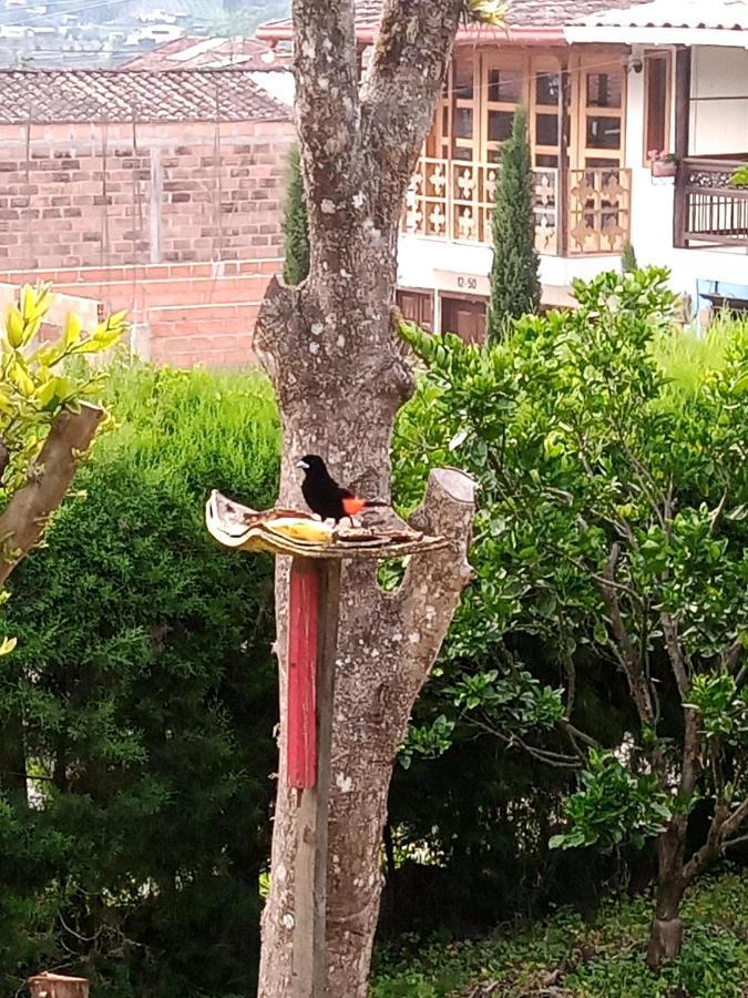 Bird House - Apartament Jardin Bagian luar foto