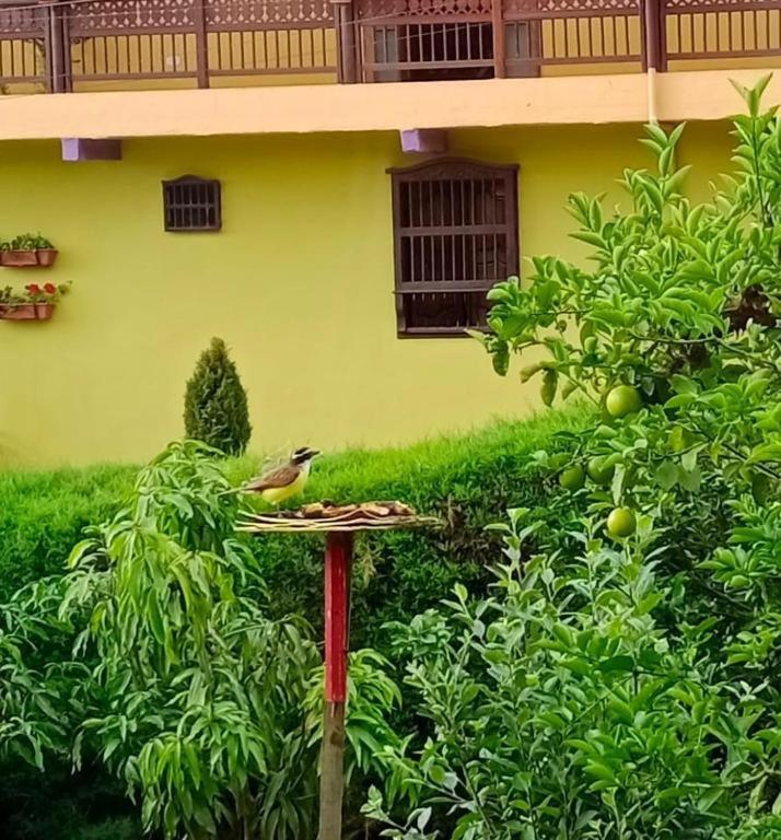 Bird House - Apartament Jardin Bagian luar foto