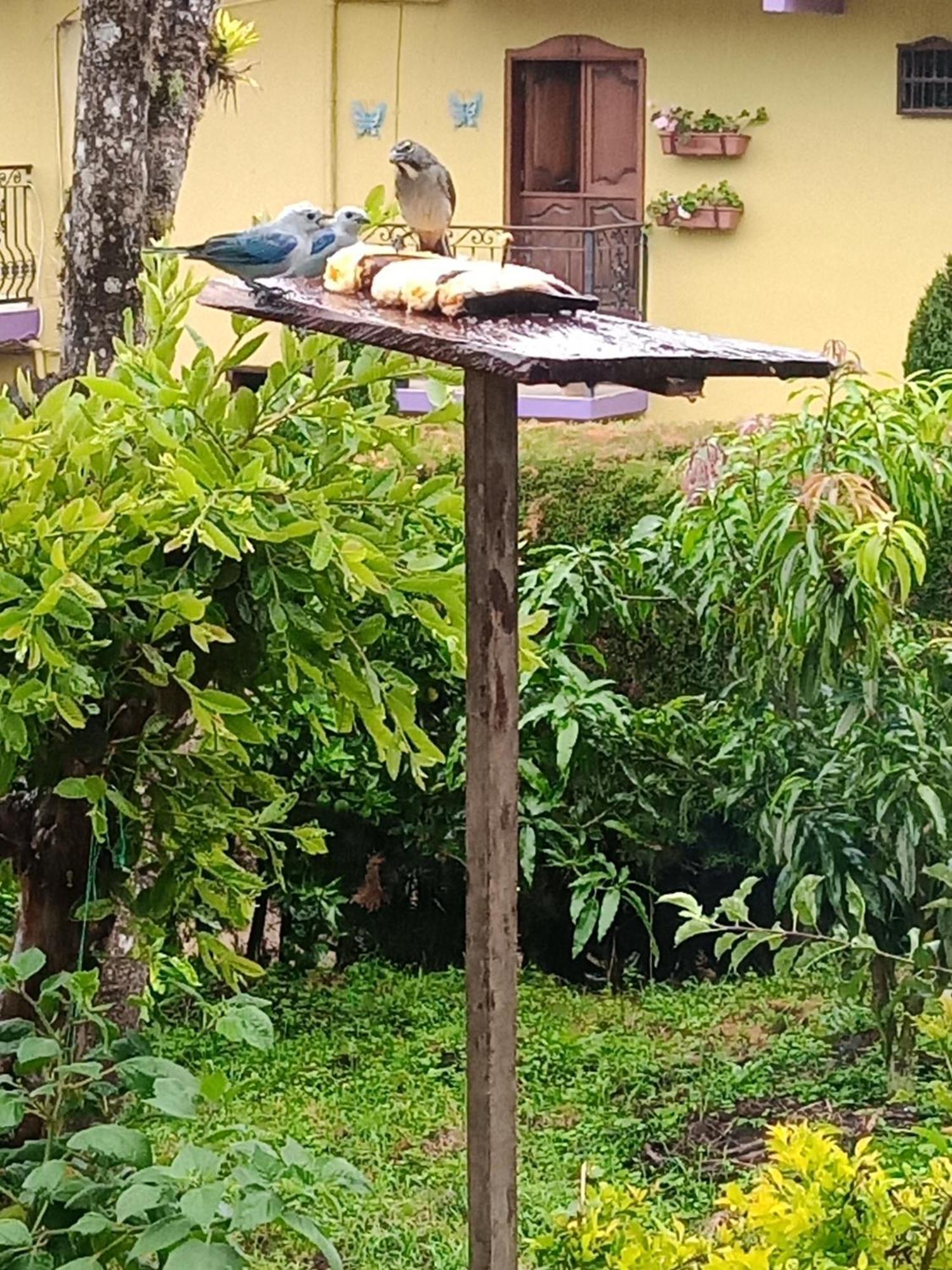 Bird House - Apartament Jardin Bagian luar foto