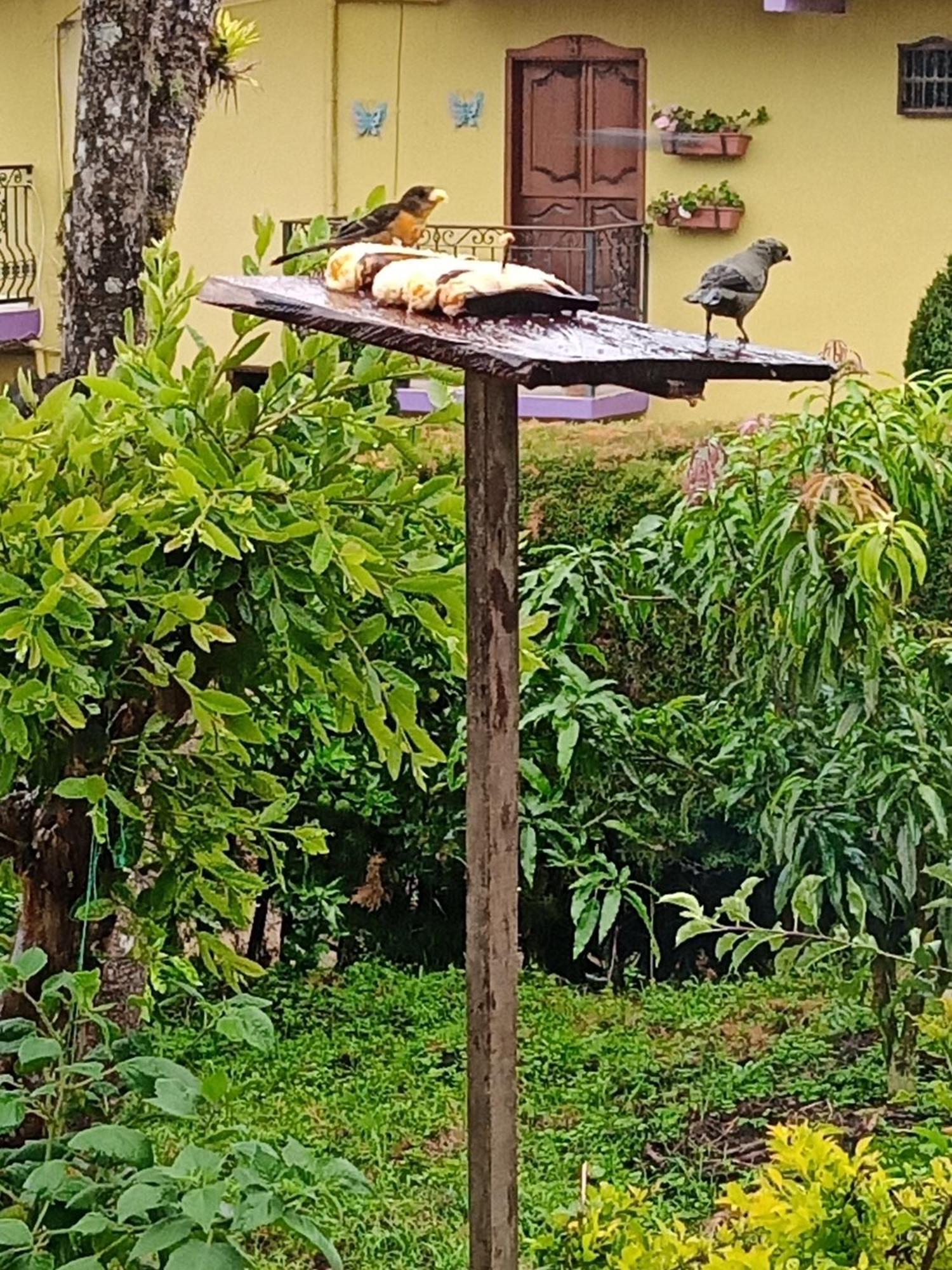 Bird House - Apartament Jardin Bagian luar foto