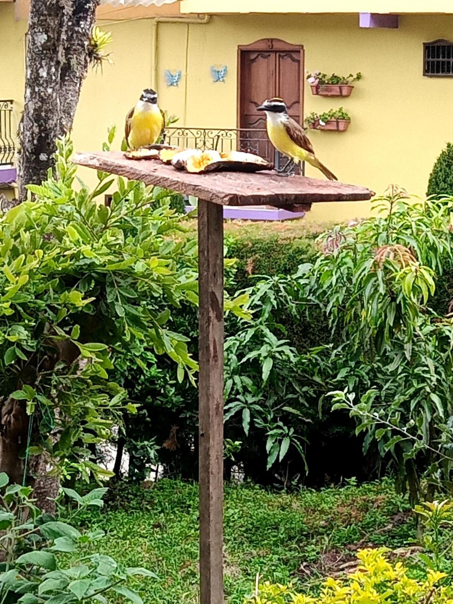Bird House - Apartament Jardin Bagian luar foto