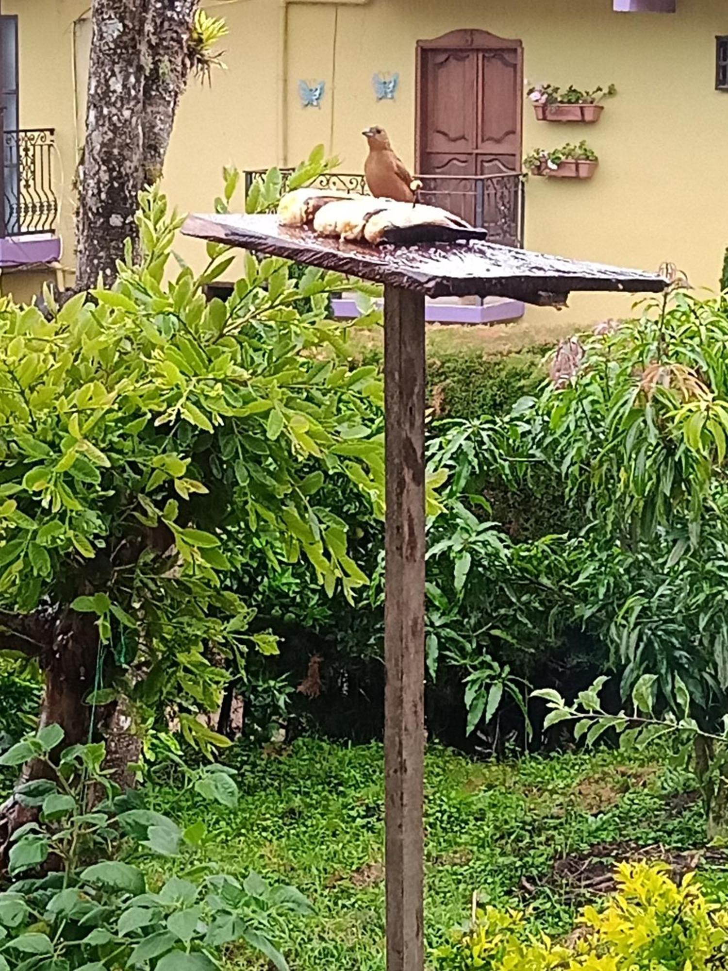 Bird House - Apartament Jardin Bagian luar foto